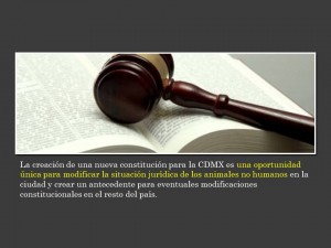 Diapositiva11