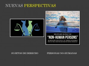 Diapositiva12