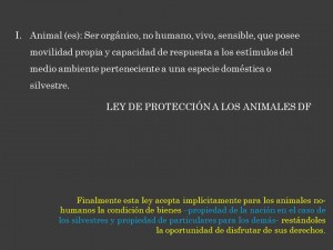 Diapositiva8