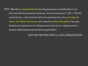 Diapositiva9