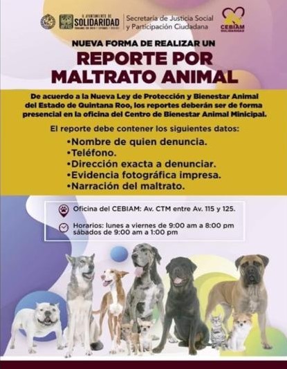 Ni los perros están a salvo en Bogotá: en los parques manos extrañas los  están matando con veneno; las historias son muy tristes